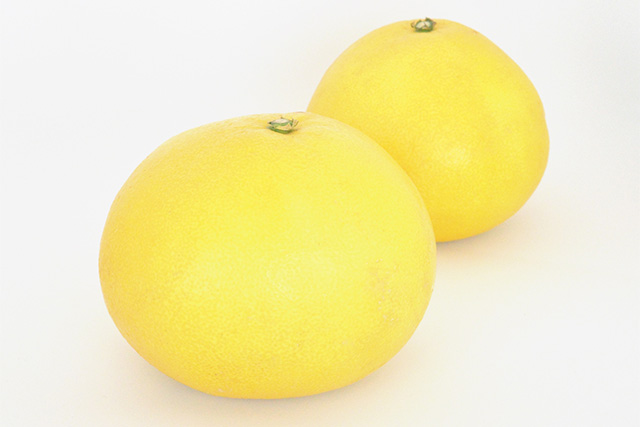 product-12.jpg